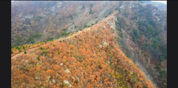 9yuNCYVor2PJ5SI_L14wfGE0PzzVU_LYFmLSDbvvV78bsPearIUQ5tzqVL2wkuoL