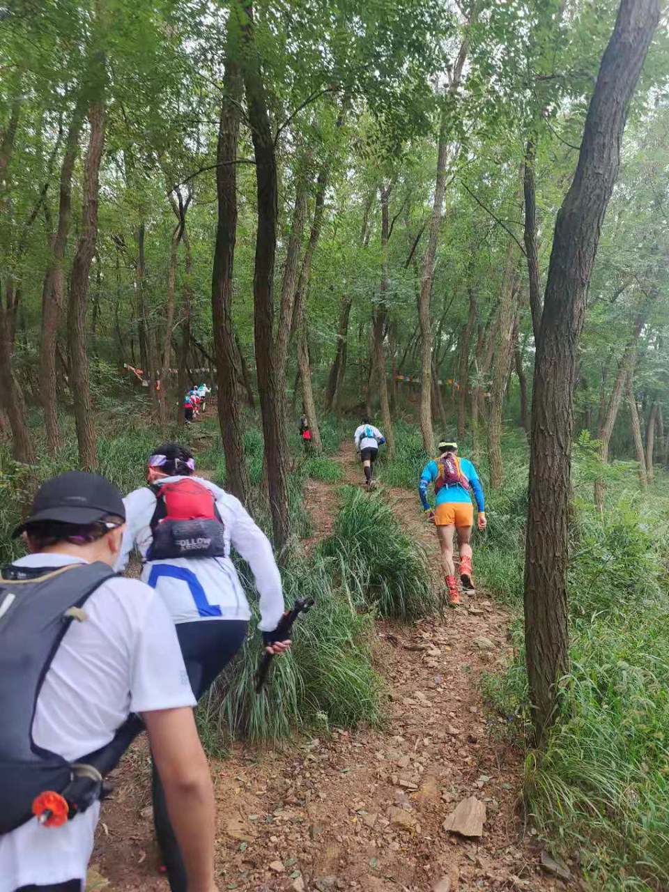 ay_hsvBOGvgqWOO76w4ZSw-RzOZoAQ83vgsRCofnOWFMpq_jxjYBl77cyfcnye6b