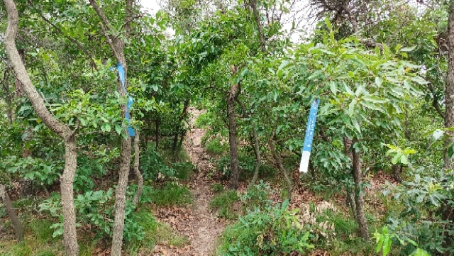 kGokDd3UiOaDFHG6jScls8FdUq0bCe2JQWsnFej6JrWIQzDiVbT6cv7Irxoa8RSq