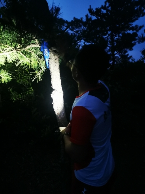 kGokDd3UiOaDFHG6jScls7VSjwYxGeGT6NNo4y8qkXfcsTQrqo1C-PAL2yZIEtaU