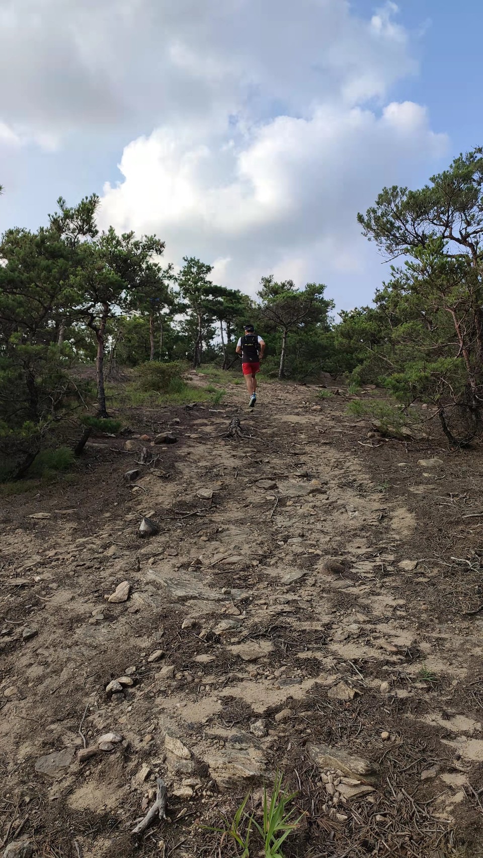 kGokDd3UiOaDFHG6jSclsxZK9qgjmYwDEb3s6vdmjqXouxXJhhJ6WSI_qg3Cn7sw