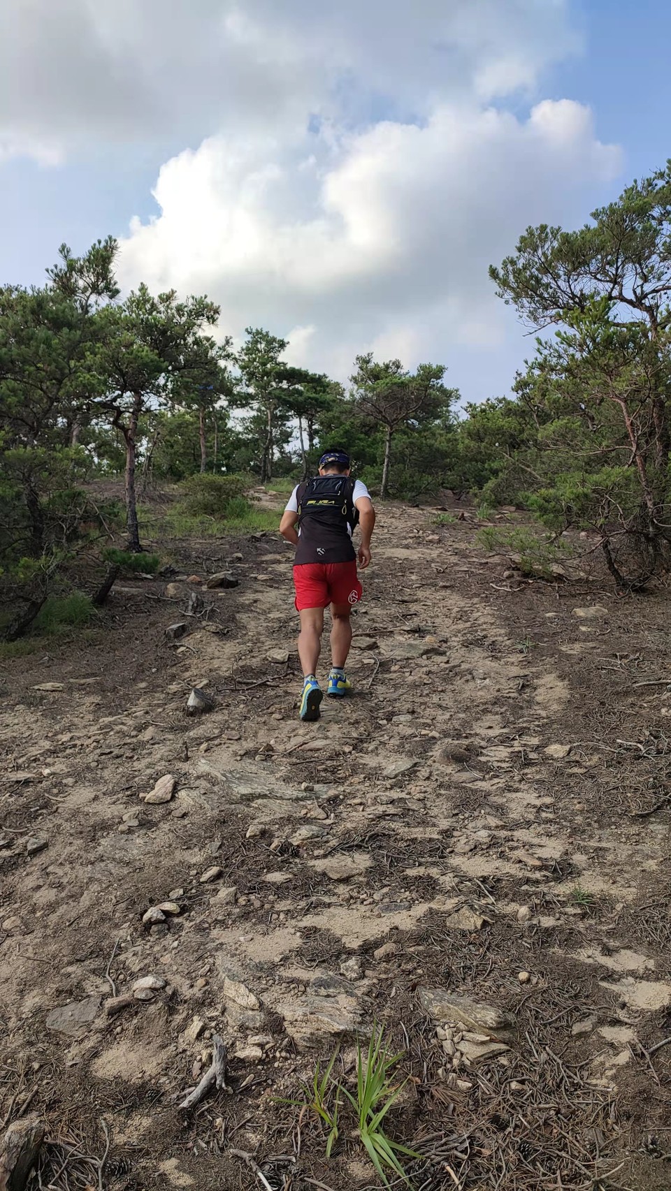 kGokDd3UiOaDFHG6jScls7TahgLEDULT3iz5ojC-9a3b5T-y9hlSITpL3qtLb_za