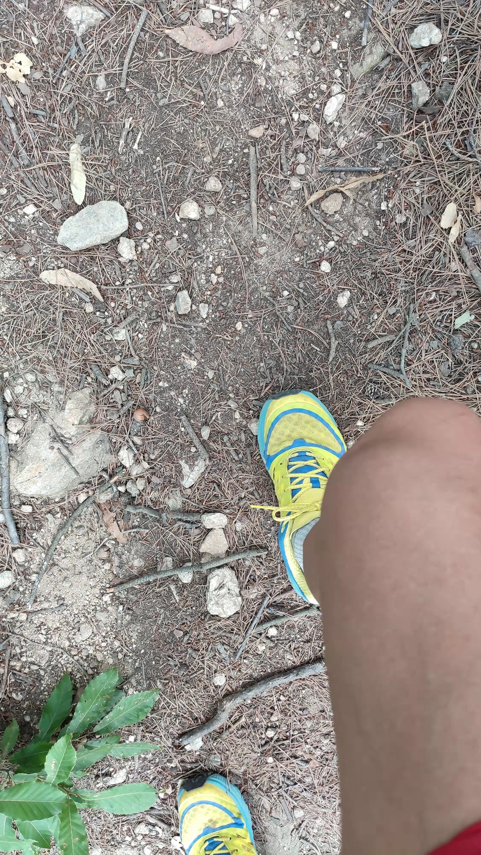 kGokDd3UiOaDFHG6jScls2y8x_TCGCKI07TxK8SIpMDWQh6zBIyl34HrZodSx0vC