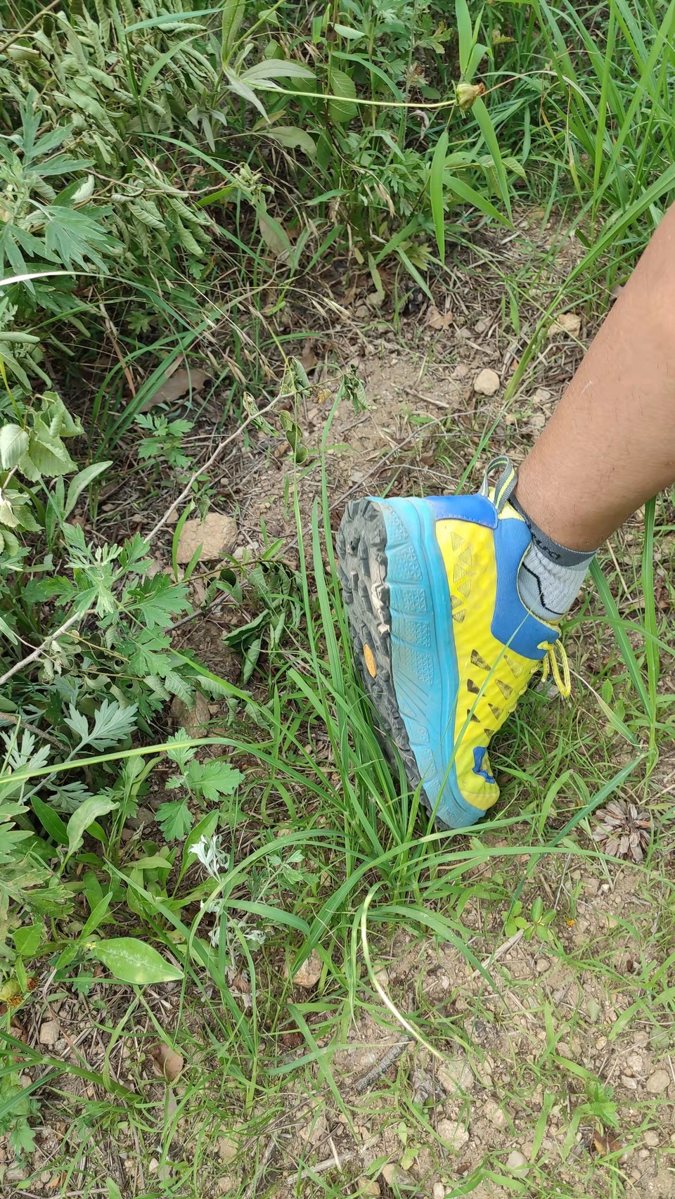 kGokDd3UiOaDFHG6jScls300Y-M_4c4RaYwh_VJkNfASVV_VYSV8chN8zk-XINOl