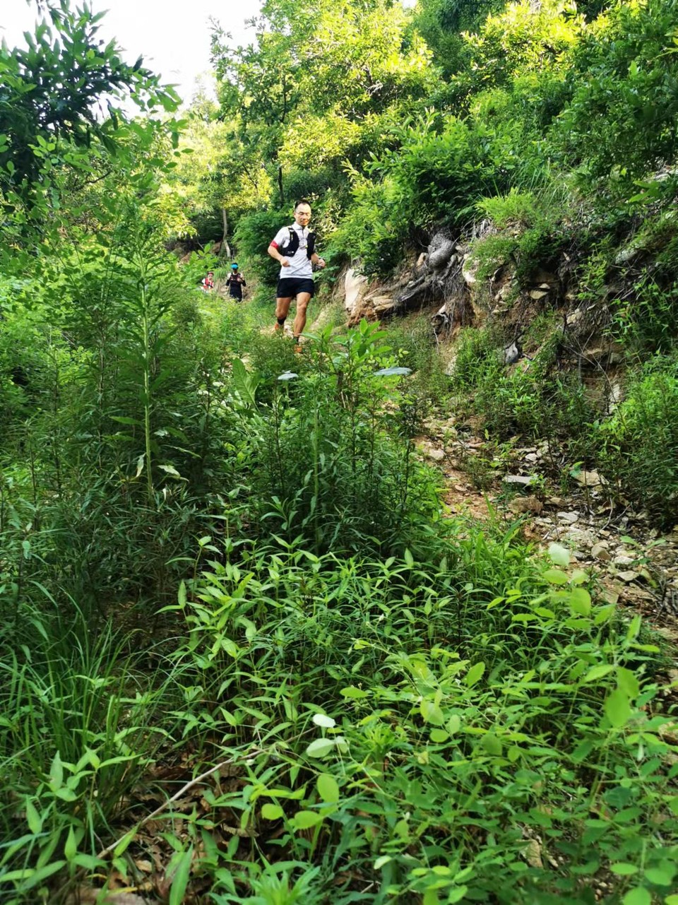 -3uMGstSDYUpnA0dbmMieTK2wstVgZpYP-2xeXMHfIpf528TJFqi6M4lEl2wfFD8