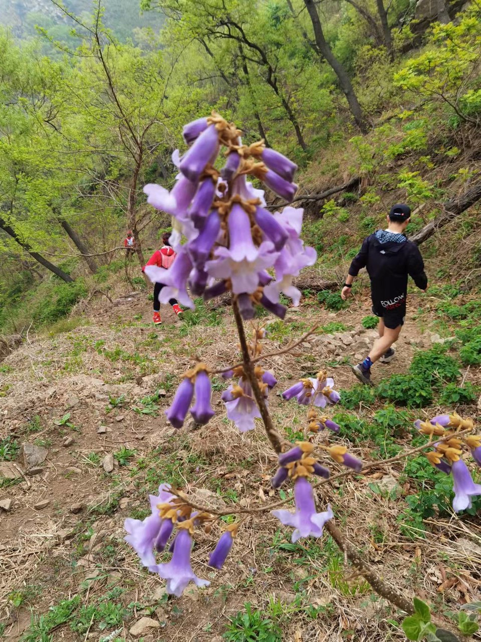 J3LS74jJuY60NYX2qRvKRw1SeYMlGsZmtq0fn8AiejVIwfdsDSBJVLs2Fo0JKzet