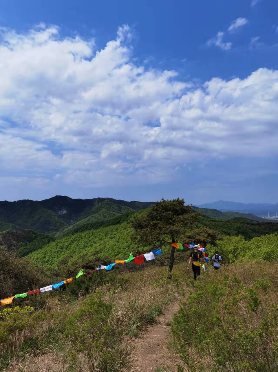 zEimQ7OFTzRa9OA5vqc9eSE270mn3JeW8iYK5WNQsmc-jQ4iFIF9dvpzyUqud7Sz