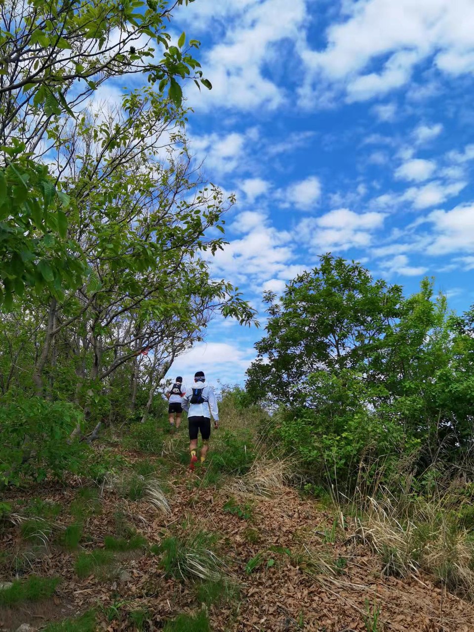 zEimQ7OFTzRa9OA5vqc9eefD-oB6DHN6rK5KFnu0LjeiOjVn922geUMnINNAFerK