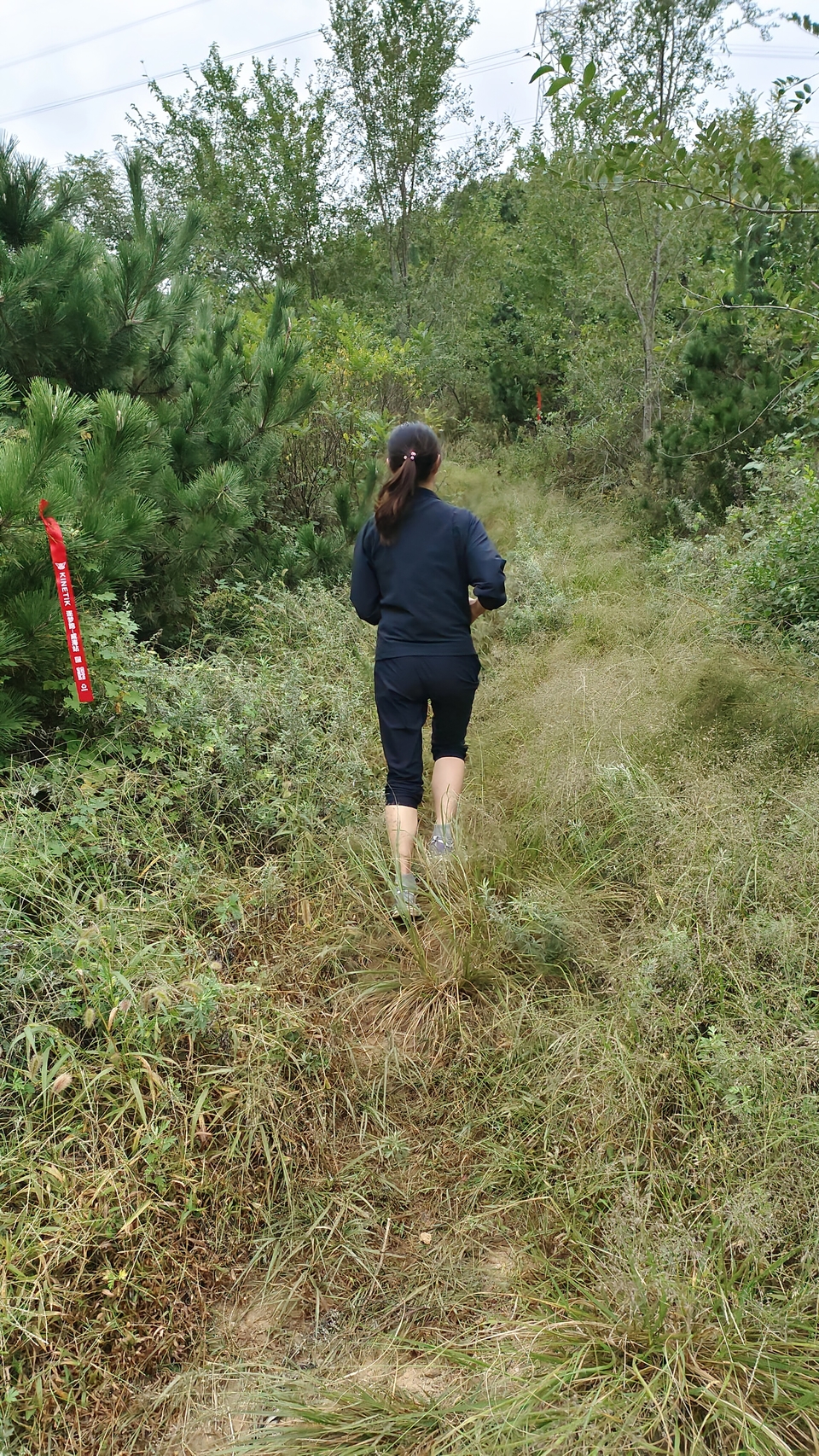 o8bt2QVGGu1ZsU-fx0HTeYrtQug-VzmhDvxf8lbiFoGMveLSY02rNueSeCuMEQbA