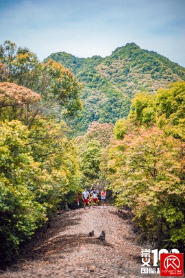 AA503381-30B6-45CF-BC3C-142575679F11