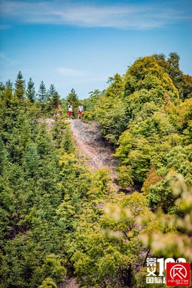 80648F14-7956-4077-AEA2-981A78110108