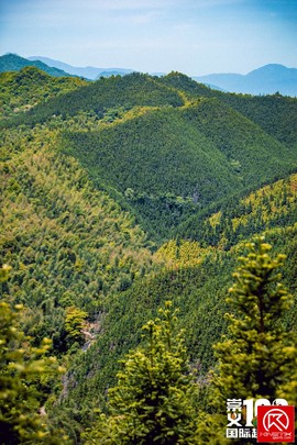 DC21CBAB-AA18-4E65-9D34-85DB7E37C28F