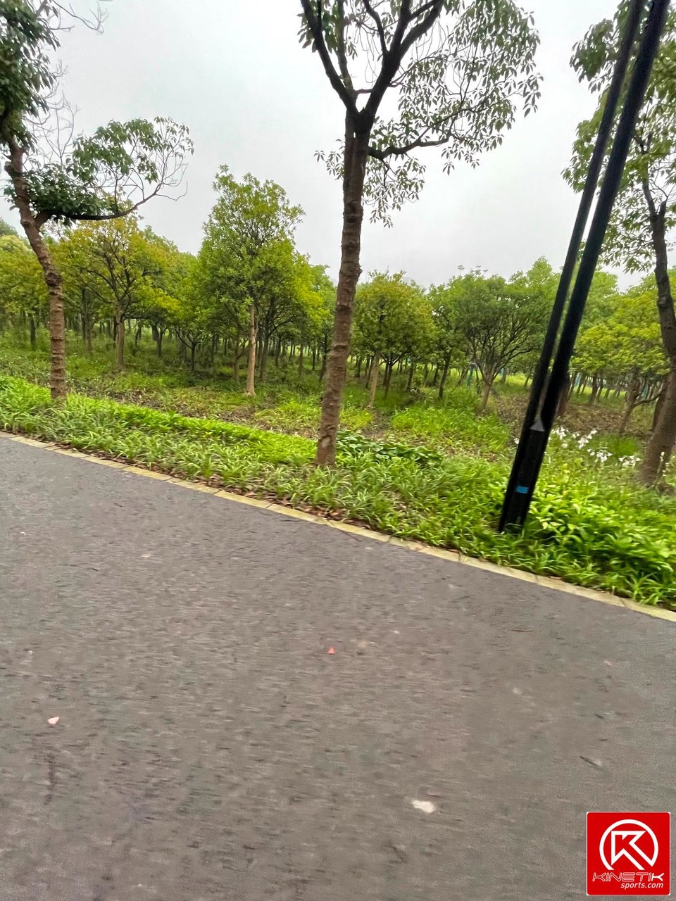 77F4A8B8-360F-4F95-BC4D-89C0343B0E33