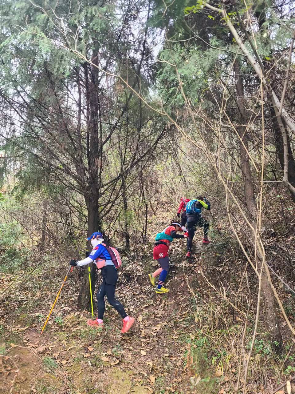 RSRn1KtWQnnTalnOCrRKk8P9Mr60fP1DDXo8M12iw2k7vdnFoFImFnoSfGvs34Ye