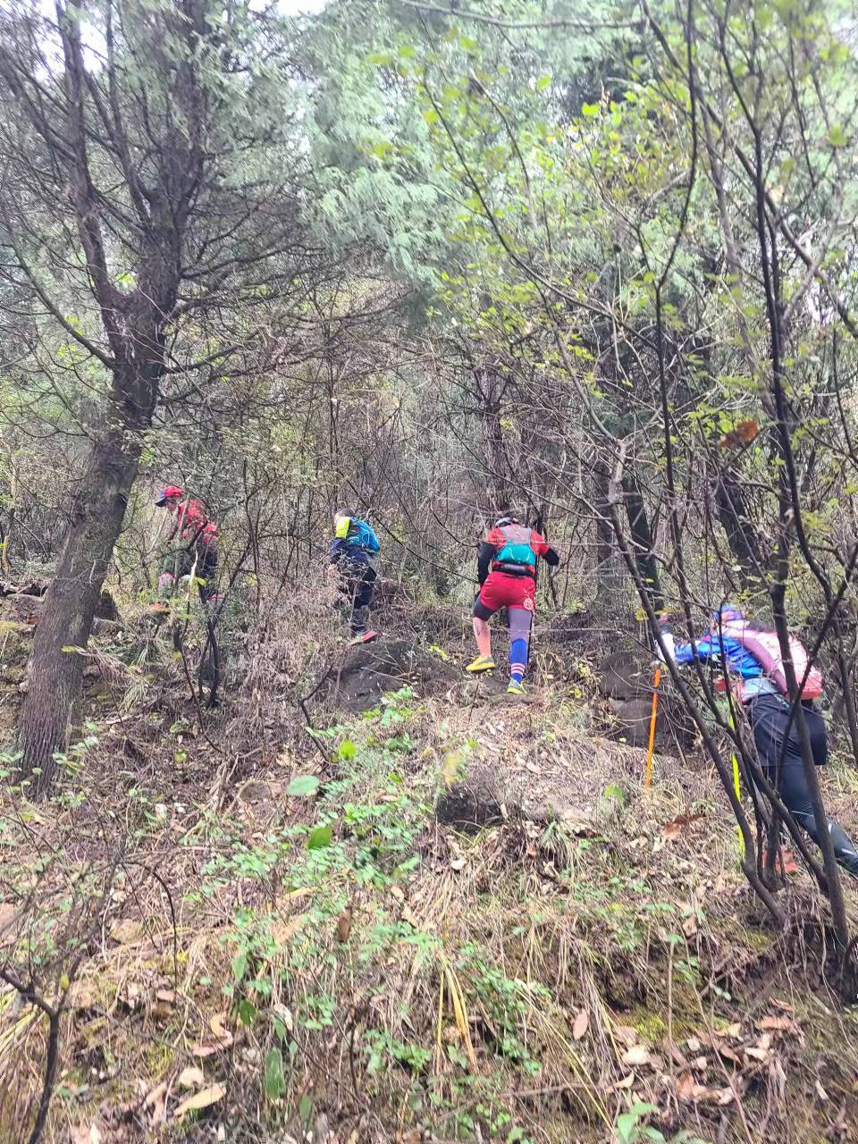 RSRn1KtWQnnTalnOCrRKkxbddd5mSq9aDCoVoQj3c7Sg6ztl5nQD1zOHr_ZdtnL3