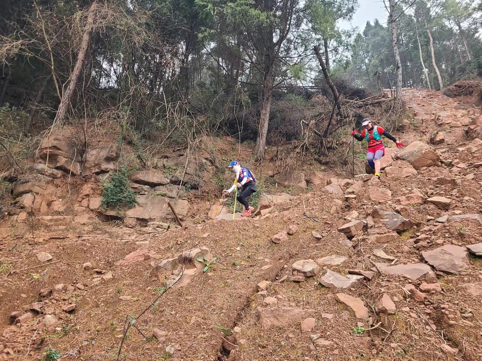 RSRn1KtWQnnTalnOCrRKk37caWCbreOjerKxExkmJxkCqwX-zKuOUykGXqQEALOQ