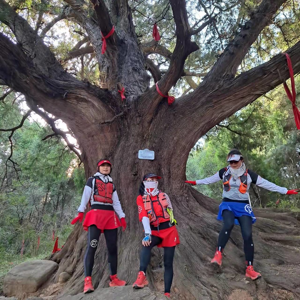 0CTvsdPxwg0tsVVwTWB_VgE2EEqe7DPlZBIhXc71Vx714uYcTpwz68VWTv4wfqeb