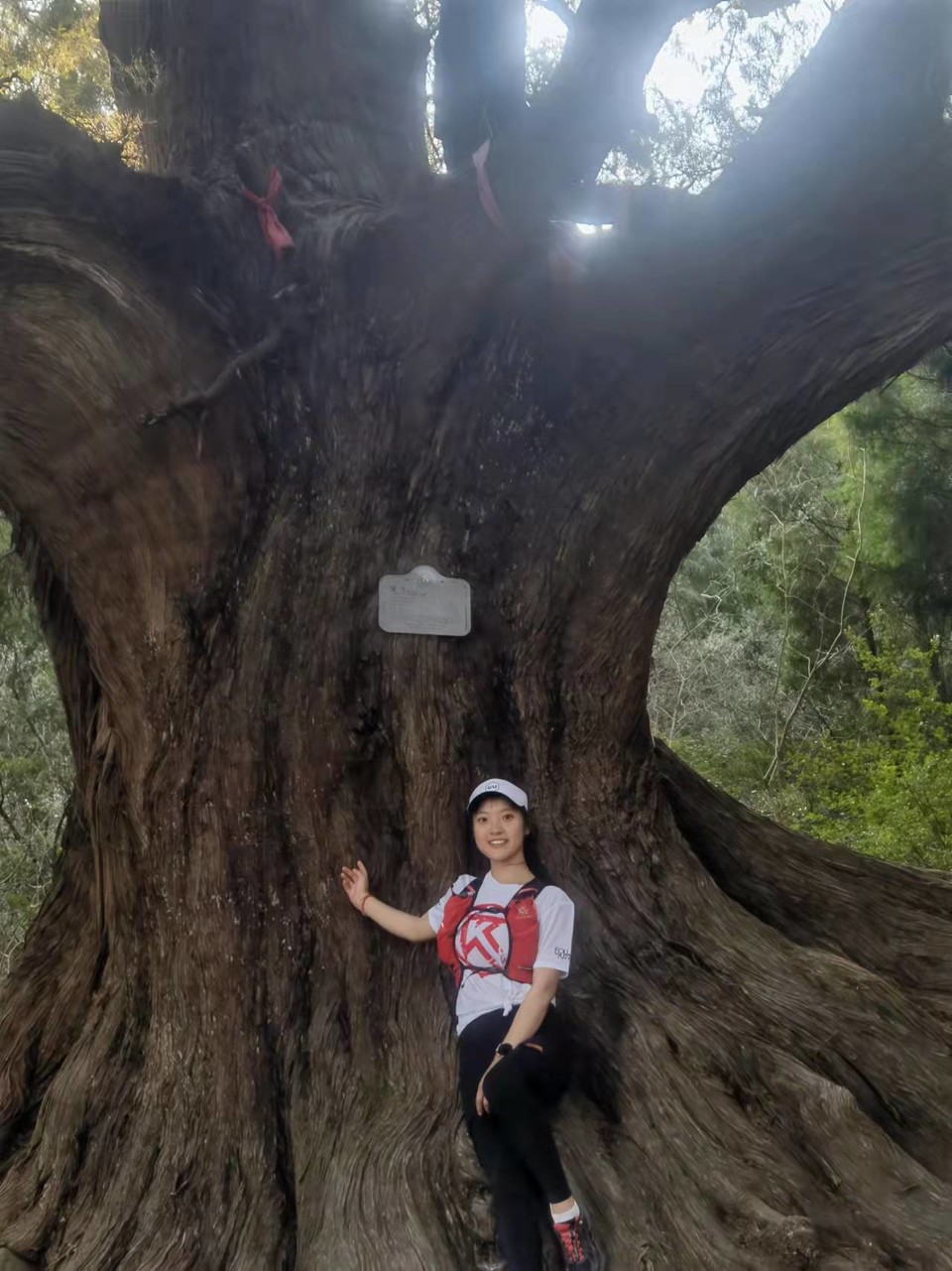 0CTvsdPxwg0tsVVwTWB_Vqpme7H0l1Dx7QKmVBe0v6Pcjagb0ODZw4ExTObV0lJM