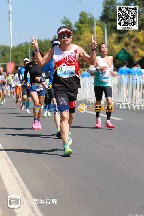 ZhDwcFa2X5ptb9WApVNQ1CkpuirIqY61OlBnZy6-6Jqv2aqzr4LLtNqXMlDrbPmi