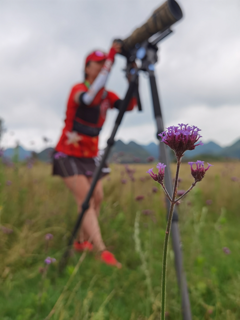 qrDozBaqr24yuBUUFnQcL6AQZksluTOLEXN9LGbkZ76jkhL6QYKKgAtuRnZ0M2s4