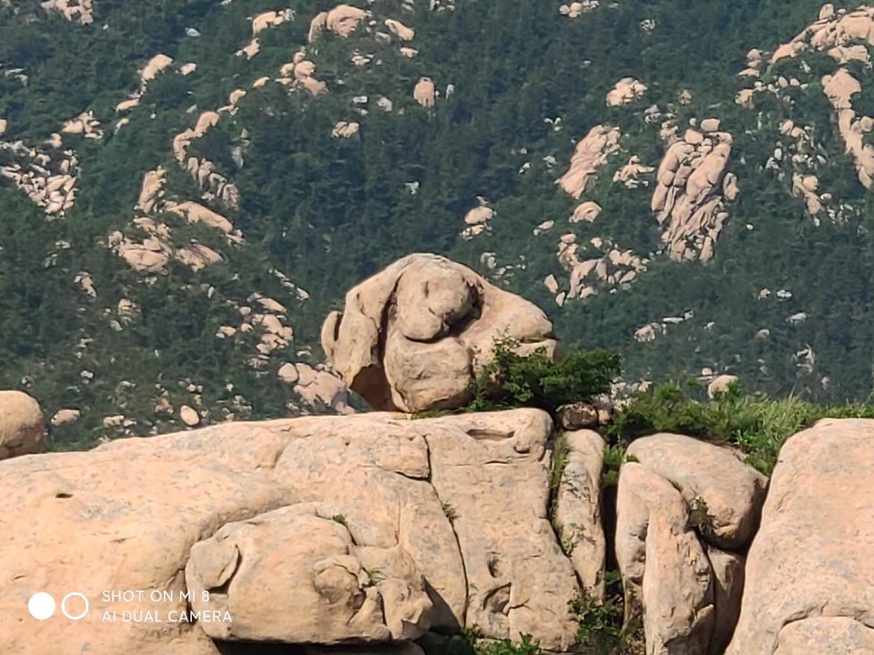 XOhqu9JwCjJJKmhCkK_UDKtyZK2wrQPmMfZ_ujVGJKfOzLHkwdA0G35bvNSAXfGI