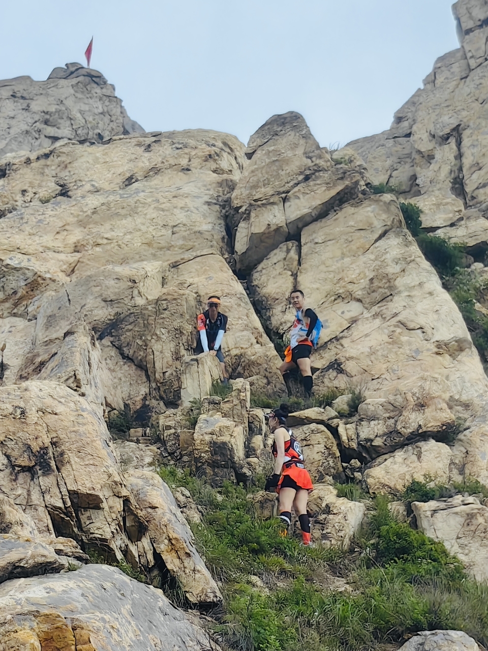 D54EC489-4350-4C98-B098-00A424BB6123