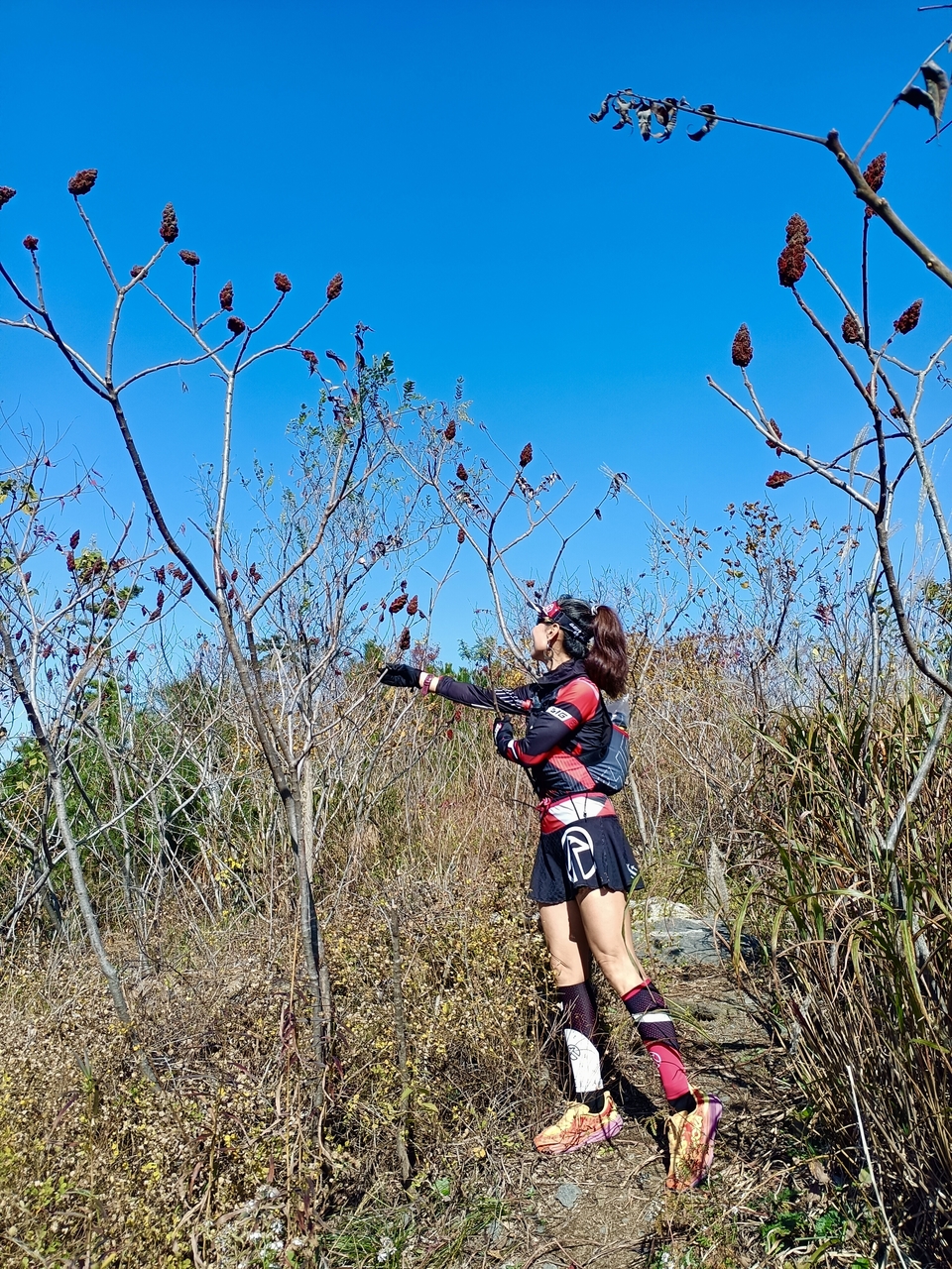 503BF0D0-BB22-4A06-8864-AB4EA6F511CB