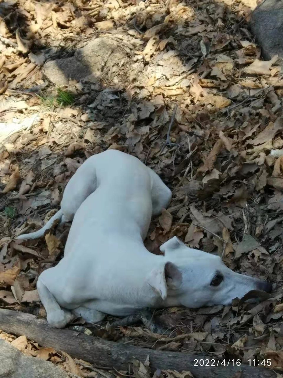 KCVVj0Y3nImEyRa1BkbnvxX1IUG-g2adf7xKK4q07IEIa06_byzoqwYuboT6lM3h