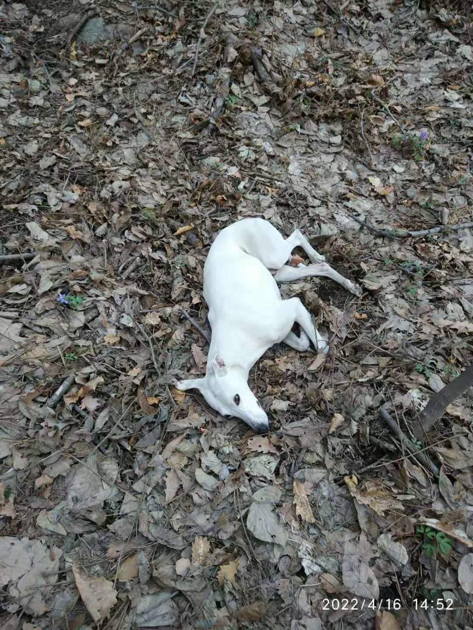 KCVVj0Y3nImEyRa1Bkbnv55Ms4zxuwtLM89S78aXBde0Gz9MDyO7bM6fAWeEztqY