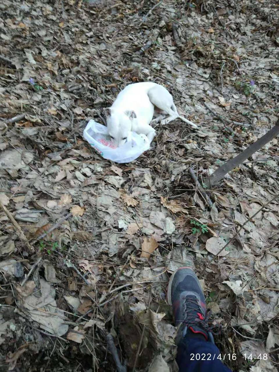 KCVVj0Y3nImEyRa1Bkbnvzqml9VXGuHkKLhGvNYP-aDCB11dmVbYGJYfLHvx11Lt