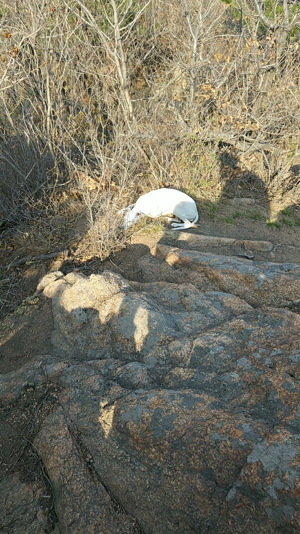 KCVVj0Y3nImEyRa1BkbnvzXxMTHutUe45LGvpm3BuqPLp1LVdP01AxtgEqdWxyJz