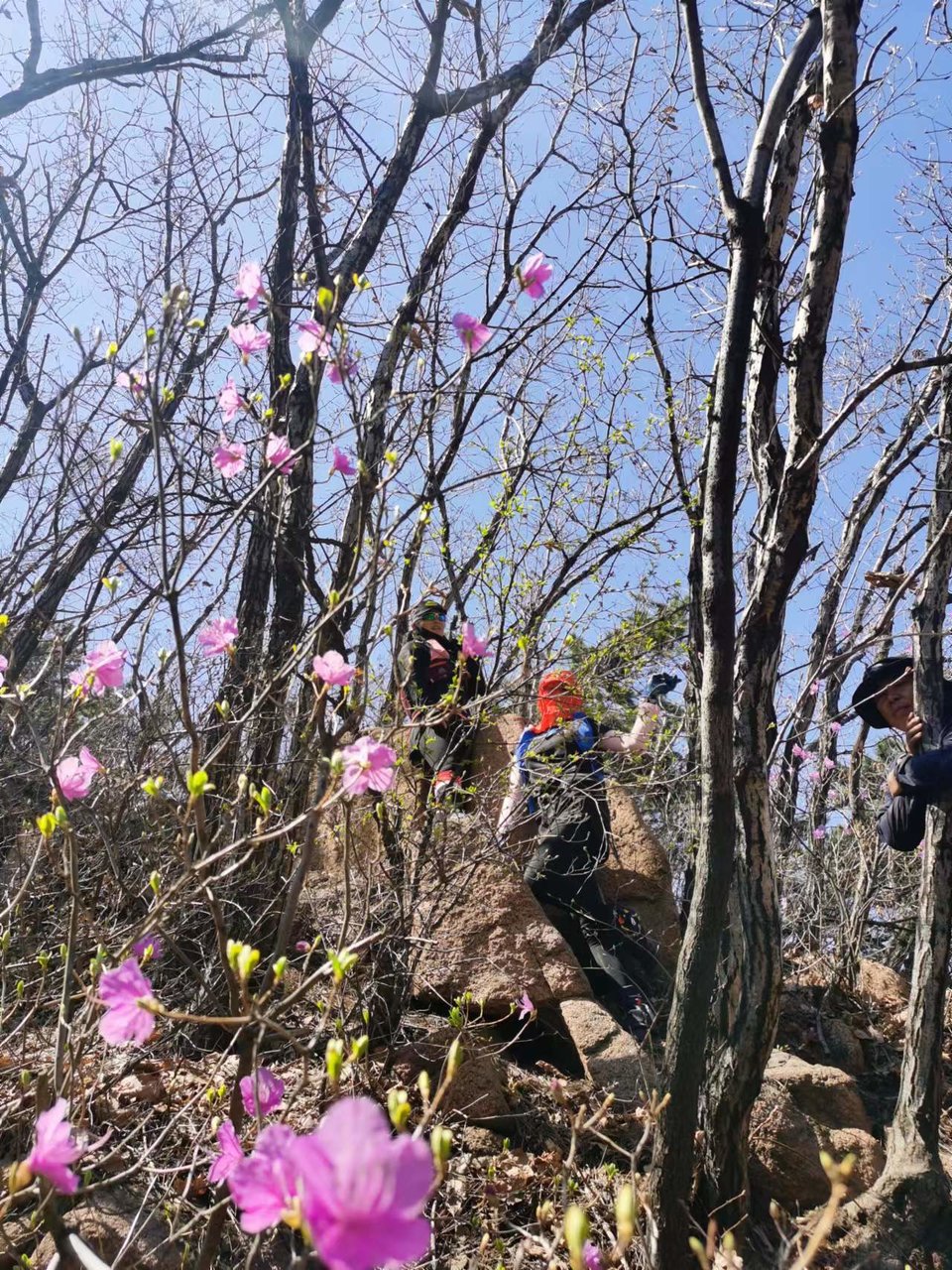 KCVVj0Y3nImEyRa1Bkbnv-W4C6ptfd58B1zJDYeaMBYt66AxXS4GHHo1kkglGjqI