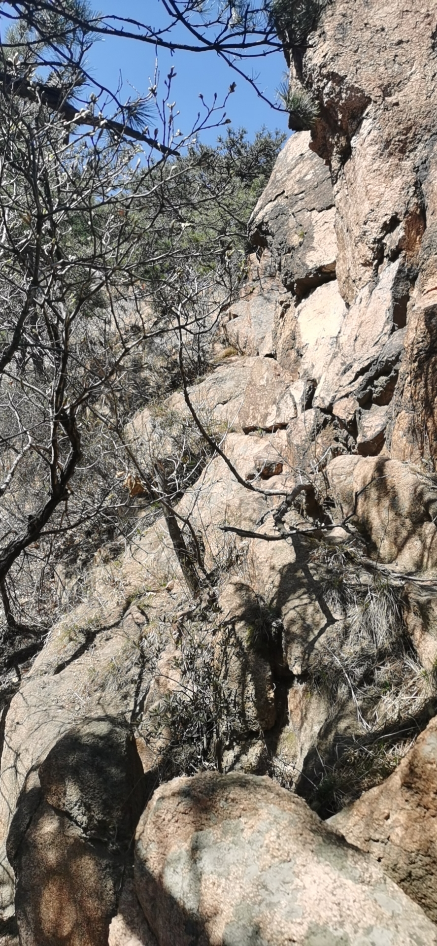 KCVVj0Y3nImEyRa1Bkbnv1swH6BgVTuWC8ICbn6EoxGc4p-9XfgzOjSO5F7jyNg_