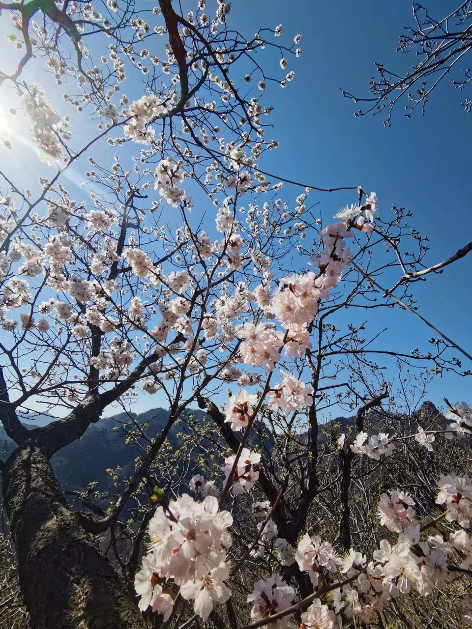 KCVVj0Y3nImEyRa1Bkbnvysf7T_5LjKm8e-Xh5VQA92WrFUa4D_pGSCuXSzgajUS