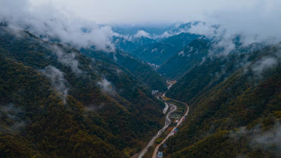 81qd6edjWMIqzMV4eze4W4mYCjpJfwfm6gl8hhFX82NoaYVW7HMdyDYgS6zb_4rv