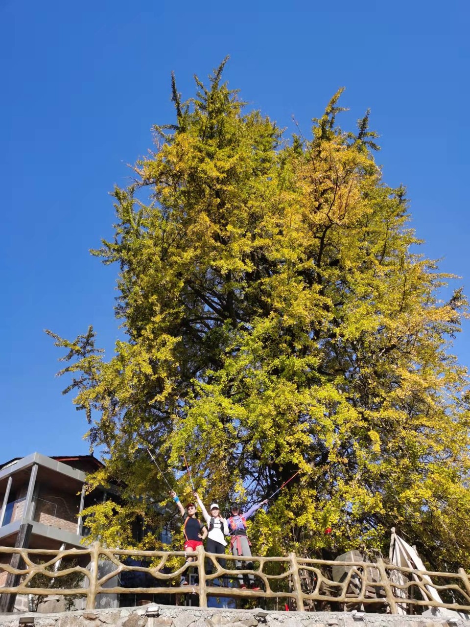 ORF4zmUCbv6GJAcdaX_6E8Slji38v6NjZmR4ZkX-yzfMlcOGr6nmsO36kZeKS1Fi