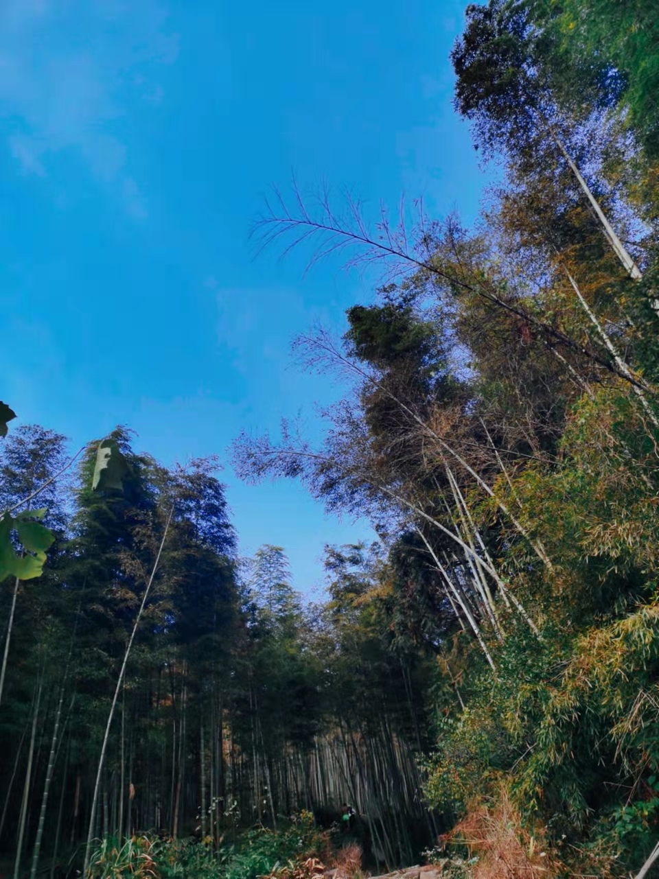 ORF4zmUCbv6GJAcdaX_6E6ATvr4XMeMw-umGQk0d7TWtfgaiw2pq8acprDEJucw5