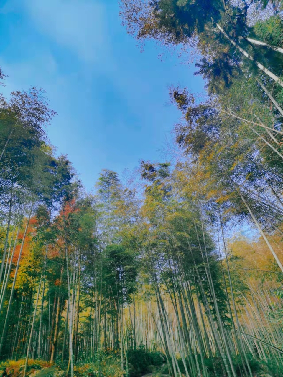 ORF4zmUCbv6GJAcdaX_6E01SjbwnyPCri_c2colBS8qqFK6Nui1ezBaz3lLtbl91