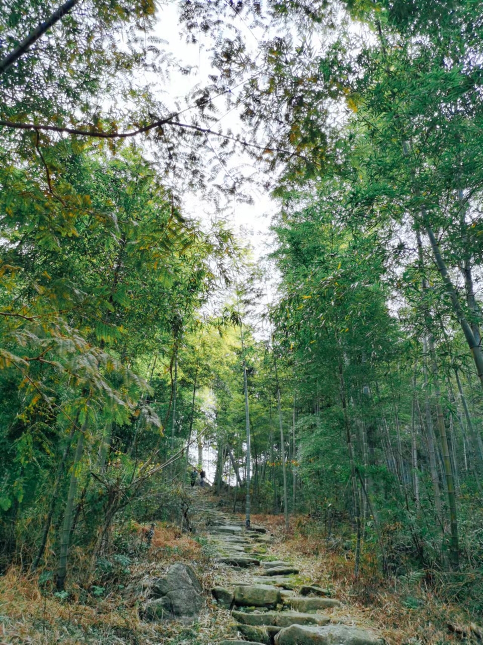 ORF4zmUCbv6GJAcdaX_6E2mJoFU6f-7R7KnyVLVqCbaeiJP8H-lvZW40yJ3EJVYh