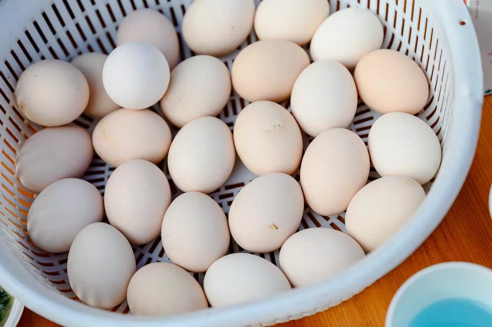 nvqQNINnfQ3_u9HIzRS-8-qOko6hi5i1OhEx3kMoXfH76uQEx4k8WPu7datRMcn6