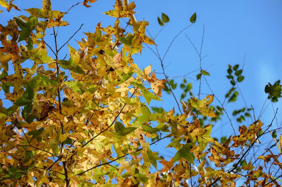 nvqQNINnfQ3_u9HIzRS-83T_fDOrQce0Q3lb7z5ZES8TBNNywxUh_Phyi2HgfRVt