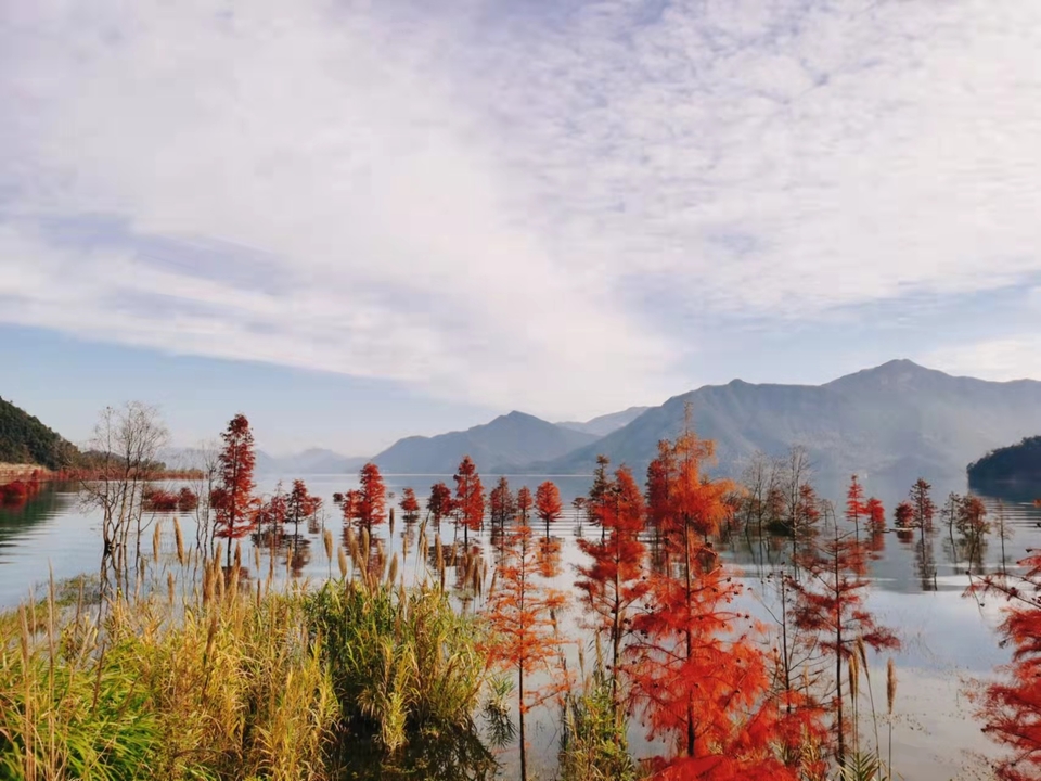 nvqQNINnfQ3_u9HIzRS-87ZZ8EHgqoPrV0zpsHsP0em-VGYizH6v4FpvhalDnvAa