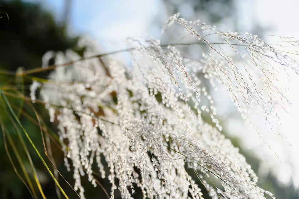 nvqQNINnfQ3_u9HIzRS-87uSZXdp_fJcECZMunfxOlPB7_26oto_jFzxEhHht4iU