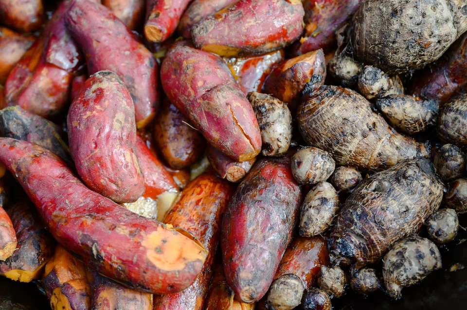 nvqQNINnfQ3_u9HIzRS-8xvv0v2zoYeCx0b4xn5aB5kCj0jWe8Ufs0NIcfnNBprb