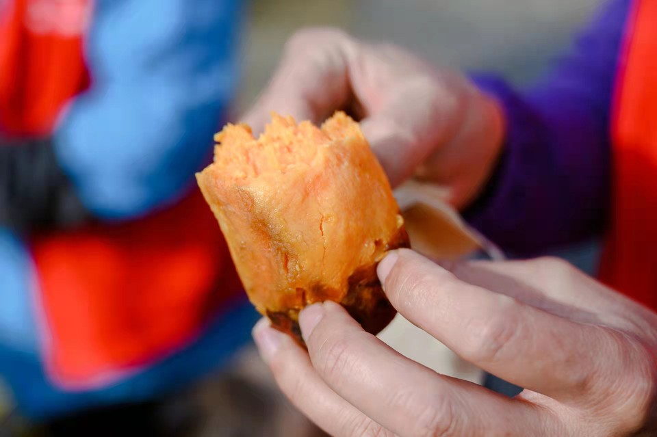 nvqQNINnfQ3_u9HIzRS-868lkKBBxVZGvwZwV1r_67urzv_k9f-iBcIvCrmAHS-b