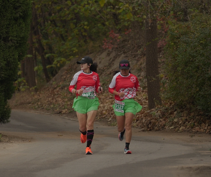 dJ0tSYW8LwZiurZXmEB0oK-ZT-OdtdXGeaD9dPzqQOg736hfKijuVnMnP15atgkW