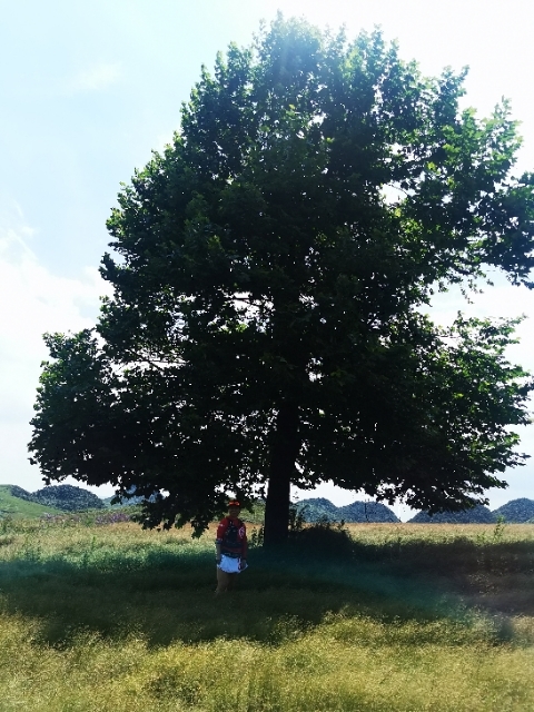 ODWoX1ba11OqnDBv1zB3IpKb5Vfqa9sHNGLRaiGHIy2XPTpfaIR48BOnEqmia3UN