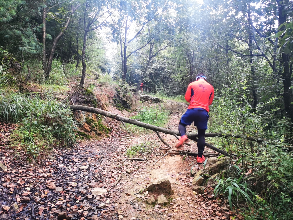 J2oxMUVigHTvSGdF9cX1HNb5LkGI2bjmb5BZqt9LK1pM6CPQypkfRJlqouBhhHeG