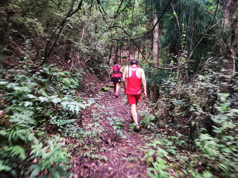 TO1hMzJnPs3TphMoMZseqKQZ9_fIVhhz9GztC9tm36NqiHfEscDUwquC4SQO5DZZ