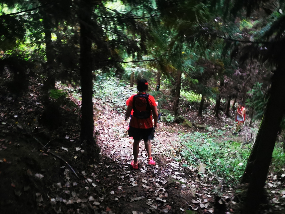 TO1hMzJnPs3TphMoMZseqBwG8unh1sdSg_L_0JeHuh7xdxzIihYEalYpQqjI6AEM